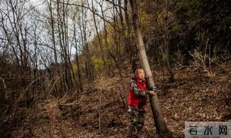 护林员洗动物尸体时血水淌了一地，10天猎杀7只野物，法院判两年
