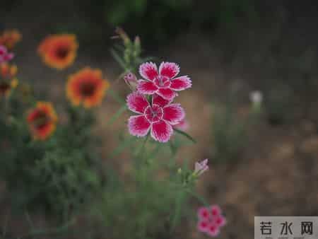 老了才明白，和兄弟姐妹"断绝往来"，是人生最不理智的！