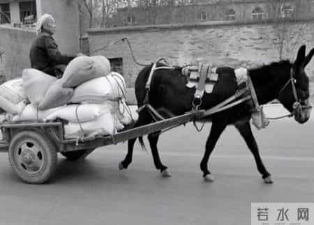 小叔身份不一般，父亲从来不说，母亲被人欺负后，小叔才赶来露面