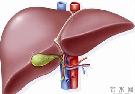 停止饮用这种茶，小心伤肝又伤肾！不少人还在喝