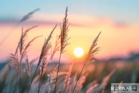 男人爱一个女人到极致，是会有以下“生理反应”的，装不出来