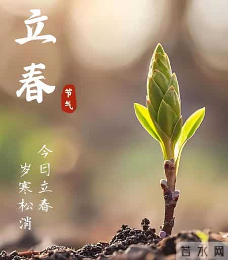 2月4日立春中老年问候祝福