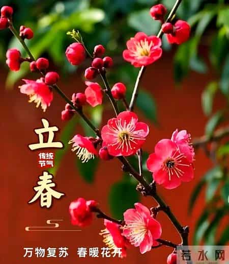 2月4日立春中老年问候祝福