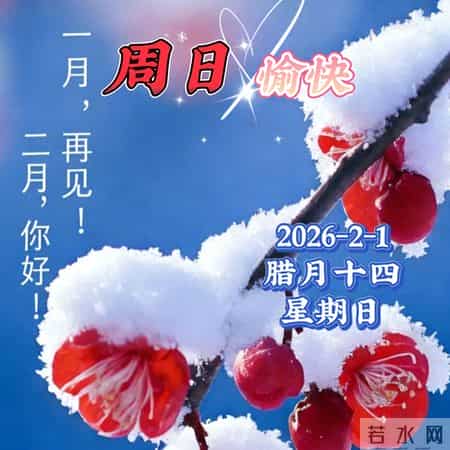 2026年2月第1天，周日早晨祝福，早安幸福安康！