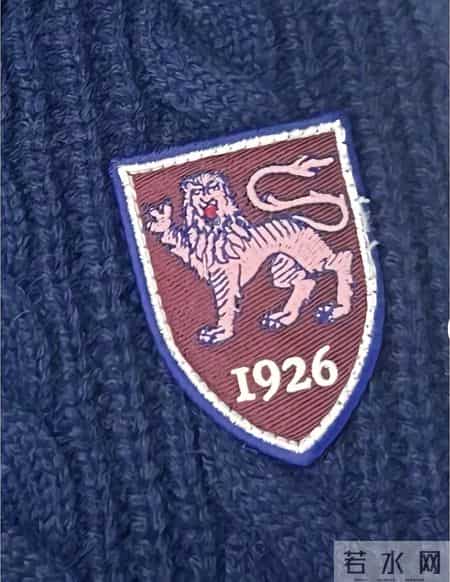 天啦！这件针织衫太不简单了，胸前是个狮子logo，还有不同含义