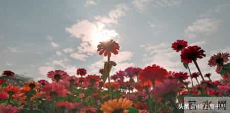 过年了，强烈建议大家，如果买衣服，能力范围内就买最贵的