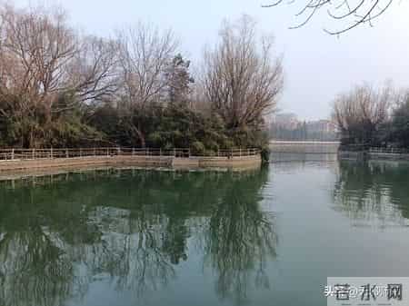 贵州34岁帅哥苟飞意外去世，当天正是结婚3周年，情人竟已怀孕！