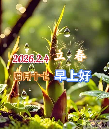 2月4日立春中老年问候祝福