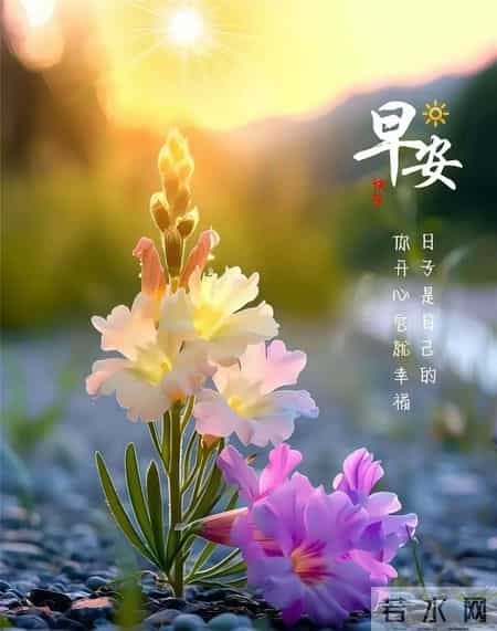 2月4日腊月十七立春节气早安祝福图片