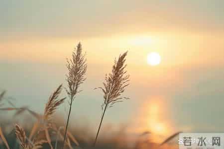 男人爱一个女人到极致，是会有以下“生理反应”的，装不出来