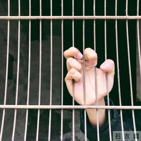 中国女孩爱上美国小伙，婚后和父母一起被灭门，跨国婚姻梦碎一地