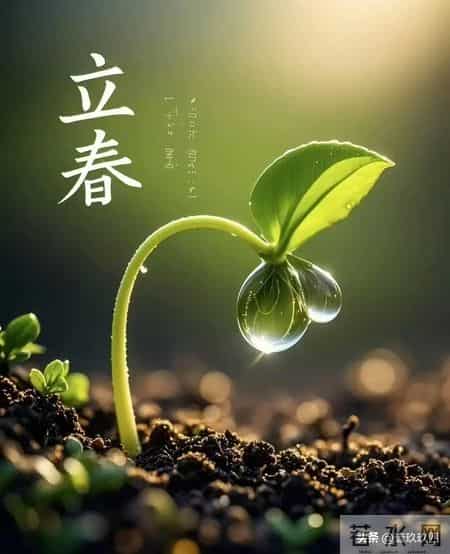 立春不止“躲春”！“3吃3忌”，尤其这“鲜”，是疏通身体的钥匙