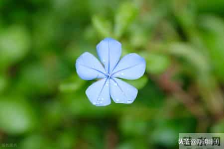 如果你已经过得不错，请远离穷恶，这不是轻视，而是人性的残酷