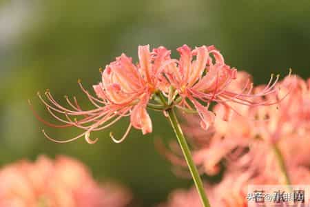 如果你已经过得不错，请远离穷恶，这不是轻视，而是人性的残酷