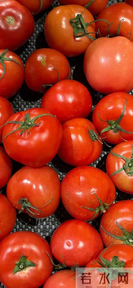 功能性壁纸｜掌控者