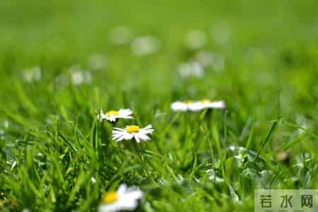 60岁后才发现，想顺顺当当再活20~30年，就得做好这6个心理准备