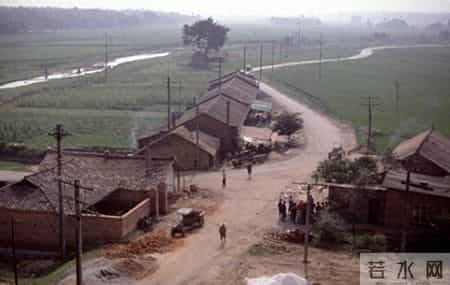 小叔身份不一般，父亲从来不说，母亲被人欺负后，小叔才赶来露面