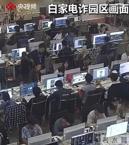 电诈290亿，白家执行死刑，中国仍在全球追捕，白家一个也别想跑