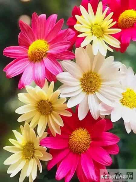 睡前皮肤保养做对这几步， 醒来脸蛋嫩到掐出水