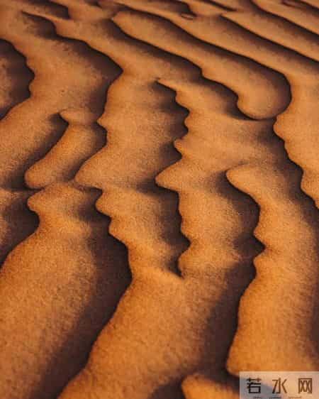 你要相信，你家孩子是家族中最成功的人，不信你自己看