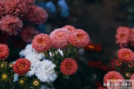 过年了，强烈建议大家，如果买衣服，能力范围内就买最贵的