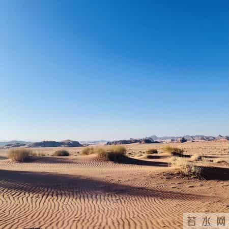 你要相信，你家孩子是家族中最成功的人，不信你自己看