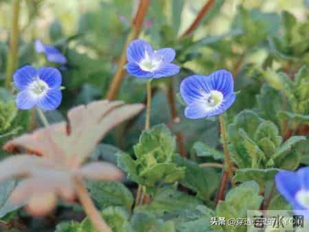 一辈子有三个人不能得罪,得罪一个,下半辈子都难安稳