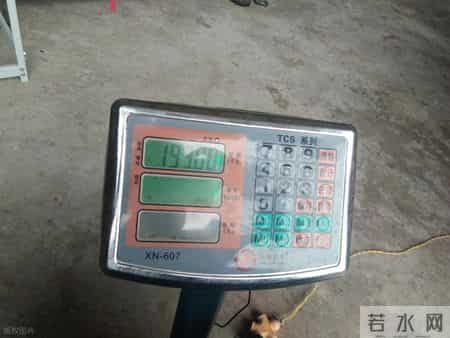 卖废品最容易吃亏的环节，不是价格，而是你从没怀疑过的“秤”