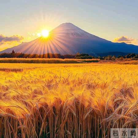 马年想旺？先换微信头像！这10款越用越有福气