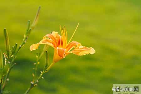 如果你已经过得不错，请远离穷恶，这不是轻视，而是人性的残酷