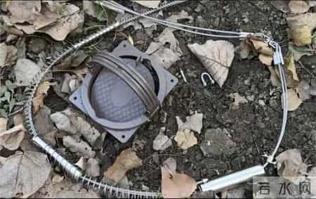 护林员洗动物尸体时血水淌了一地，10天猎杀7只野物，法院判两年