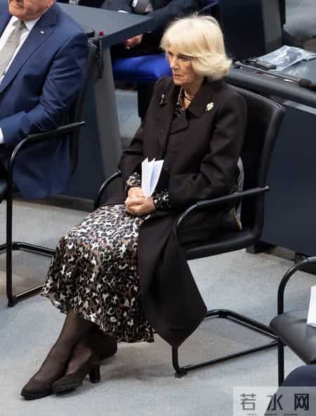 不得不说，卡米拉王后越来越会穿了，身姿挺拔尽显贵气感