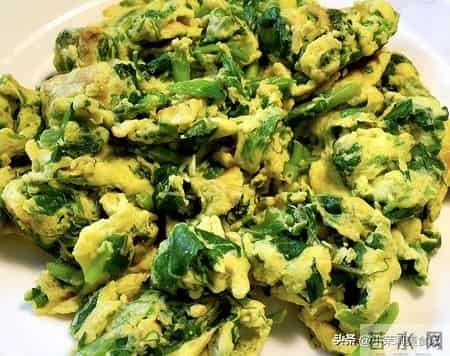 立春后使劲吃,一养肝,二排毒,三抗菌,四增免疫,鲜美正当季