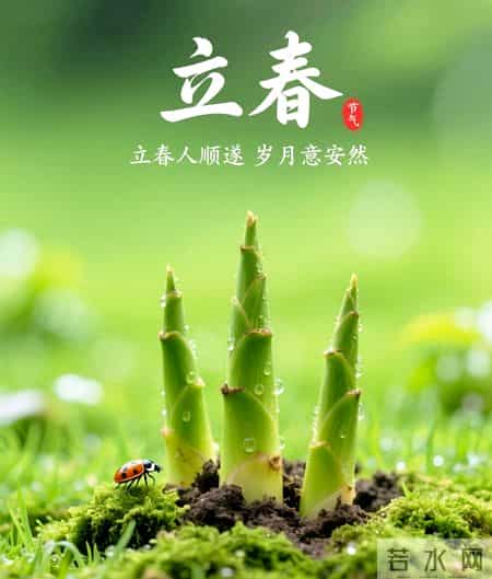 风送暖，花初绽，春立枝头，岁岁安澜——立春最值得收藏的文案