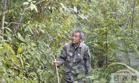 护林员洗动物尸体时血水淌了一地，10天猎杀7只野物，法院判两年