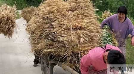 小叔身份不一般，父亲从来不说，母亲被人欺负后，小叔才赶来露面