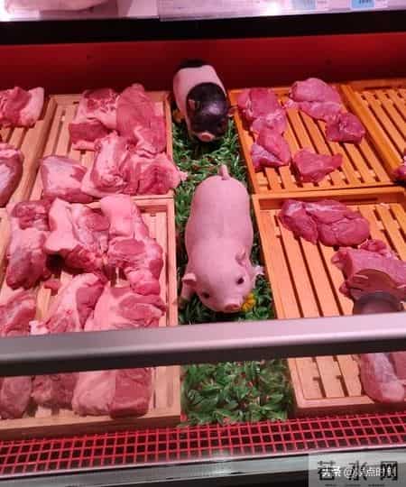 春节年货怎么买才省钱？5种东西再不囤就晚了