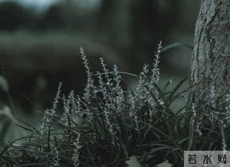 60岁后才发现，想顺顺当当再活20~30年，就得做好这6个心理准备