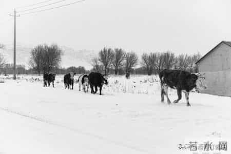 兵团岁月:那年春节,我和老婆在地窝子里贴春联