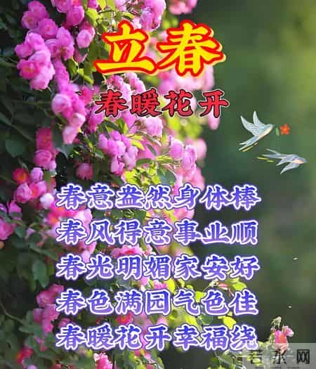 2月4日立春中老年问候祝福