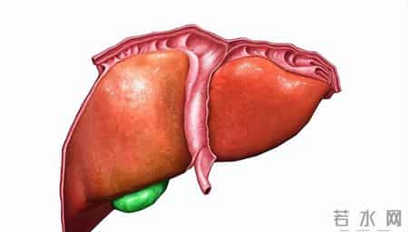 停止饮用这种茶，小心伤肝又伤肾！不少人还在喝