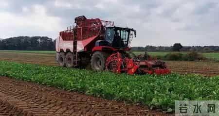 德国农村见闻,这才是我想看的工业强国,生活简单到甚至有些枯燥