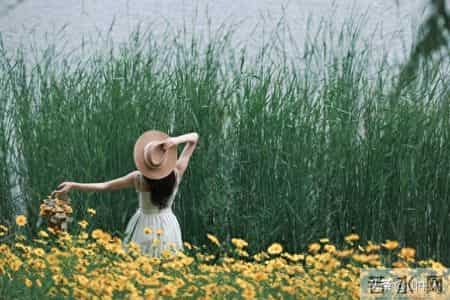 人这一生，最大的底气，是“不搭理”