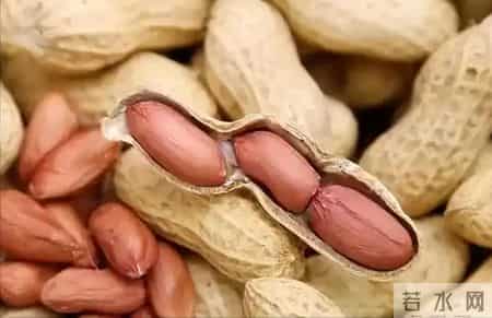 百名内科专家已证实：花生和他汀的真相，最好花点时间看看