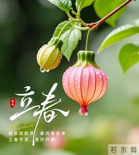 风送暖，花初绽，春立枝头，岁岁安澜——立春最值得收藏的文案