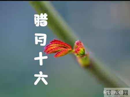 明日是“绝日”，立春的前一天，提醒：无论多忙，4件事别犯忌讳