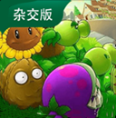 植物大战僵尸魔幻版
