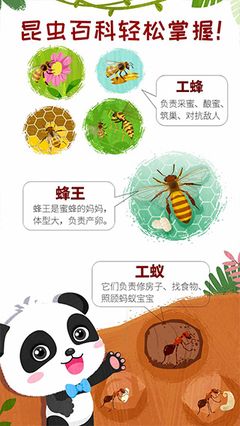 奇妙昆虫世界 奇妙昆虫世界