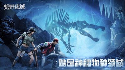 荒野迷城图2
