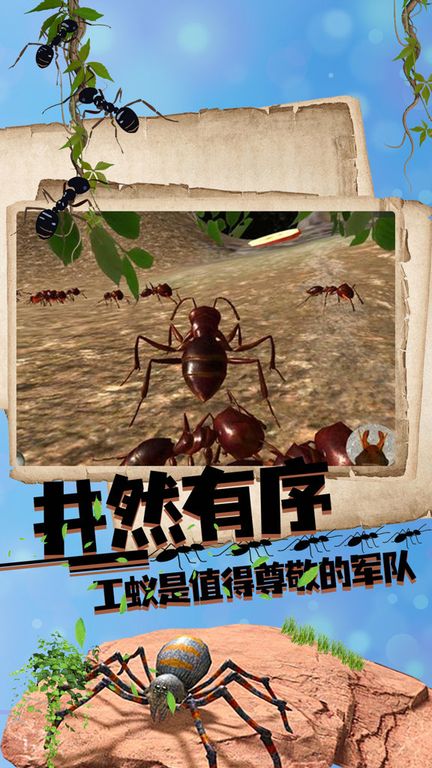 丛林抵御战图4